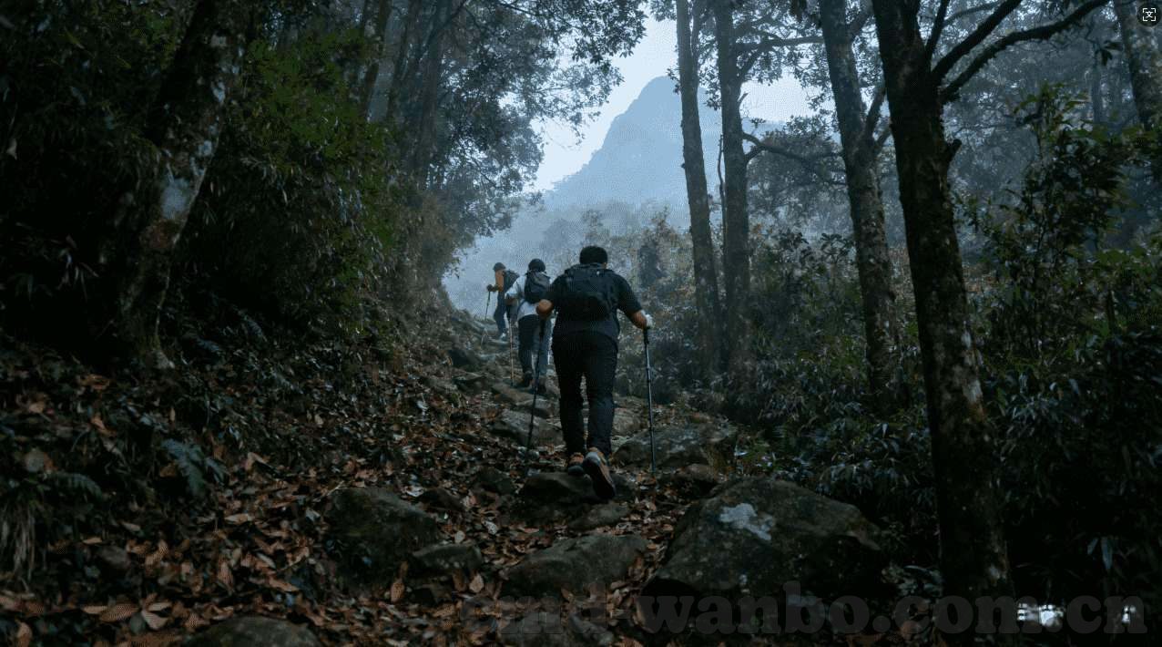 快三大小单双app下载-不可靠的快三大小单双app下载——警惕网络赌博的陷阱